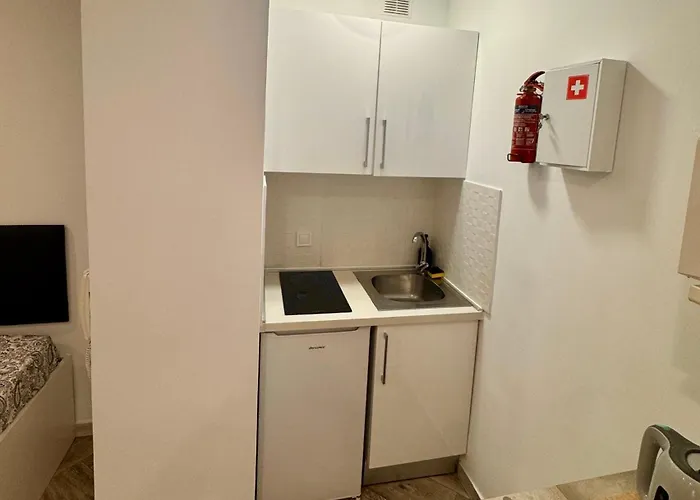 Appartement Saltilloloft *